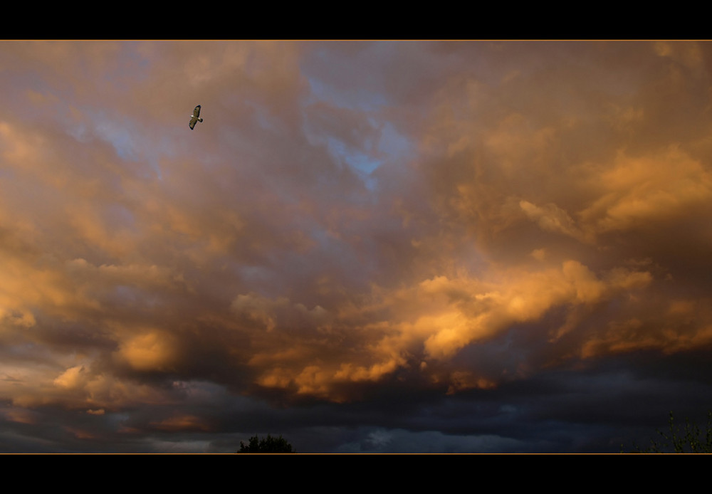 Am Wolken-Himmel