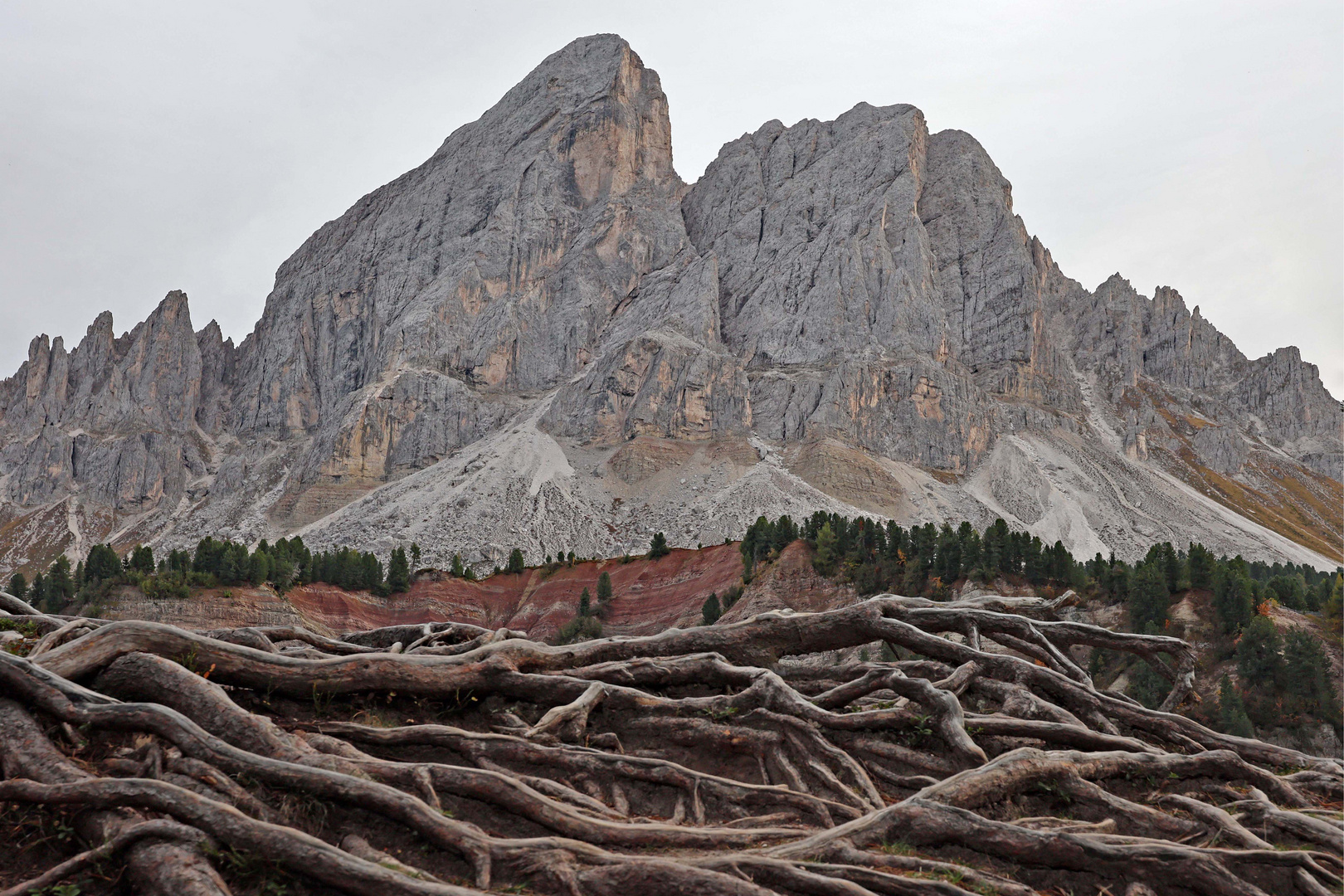 Am Würzjoch/Passo delle Erbe...