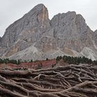 Am Würzjoch/Passo delle Erbe...