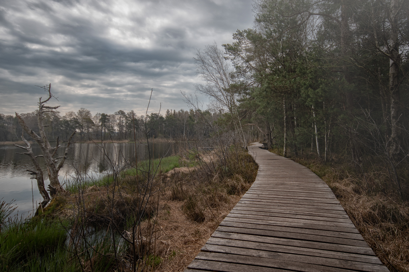 Am Wurzacher Riedsee