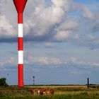 am Yachthafen Otterndorf  ... 