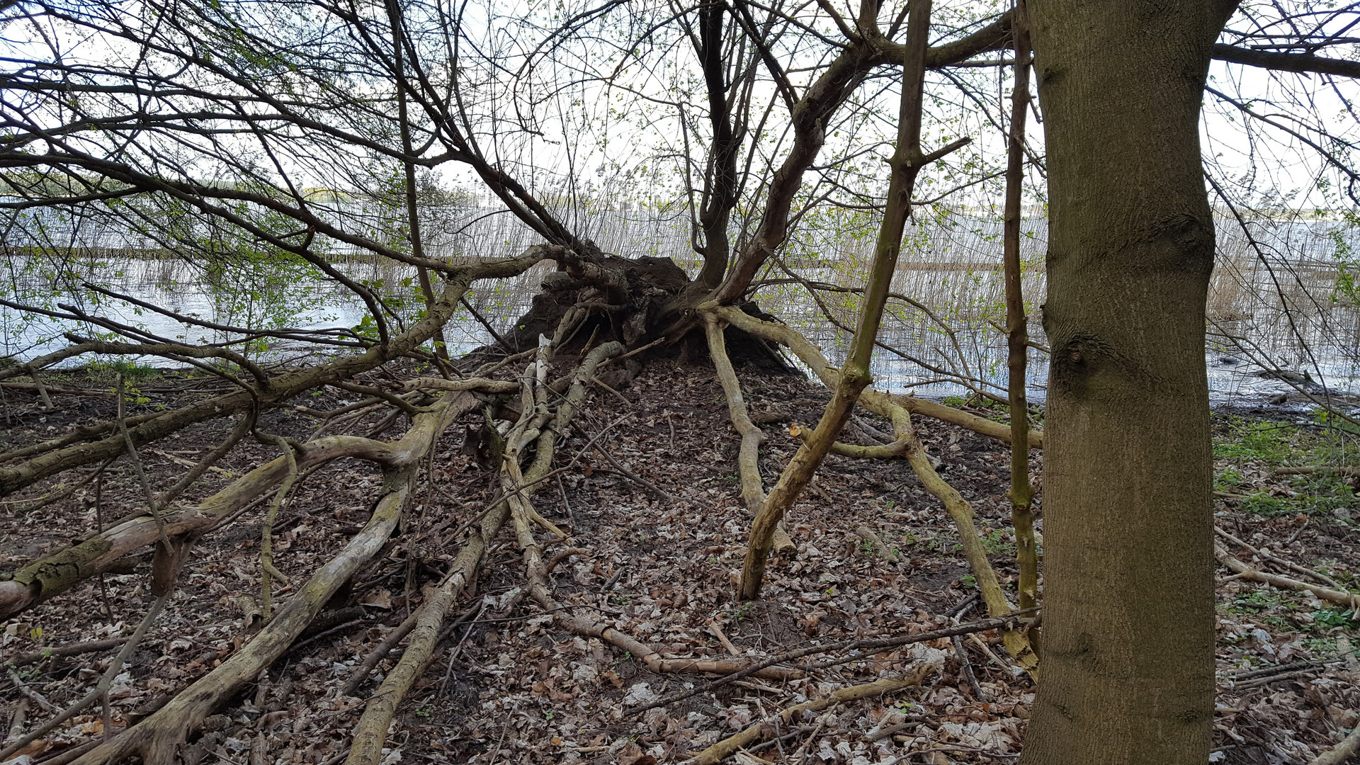 am Zaubersee