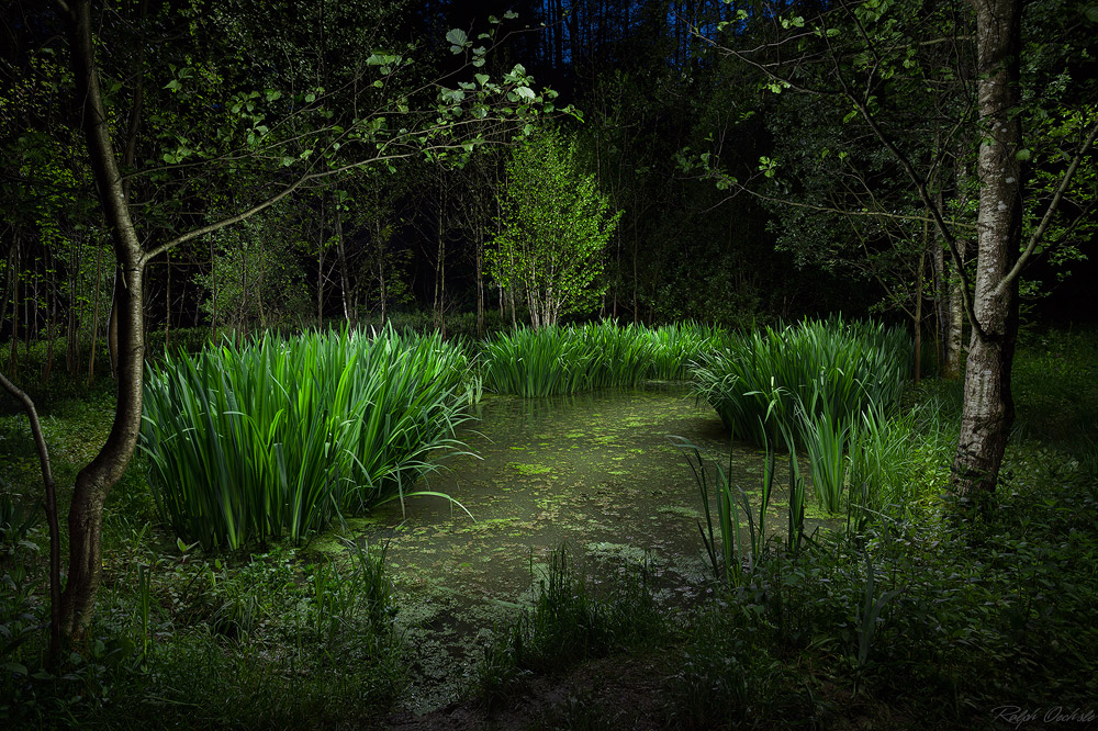 am Zauberteich - lightpainting