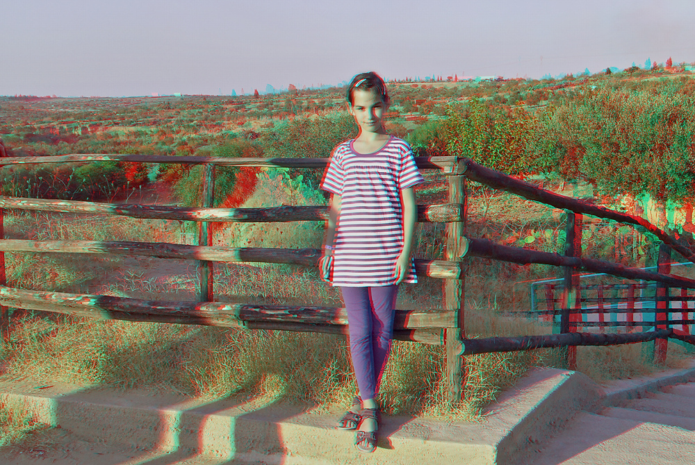 Am Zaun (3D für rot/cyan Brille)