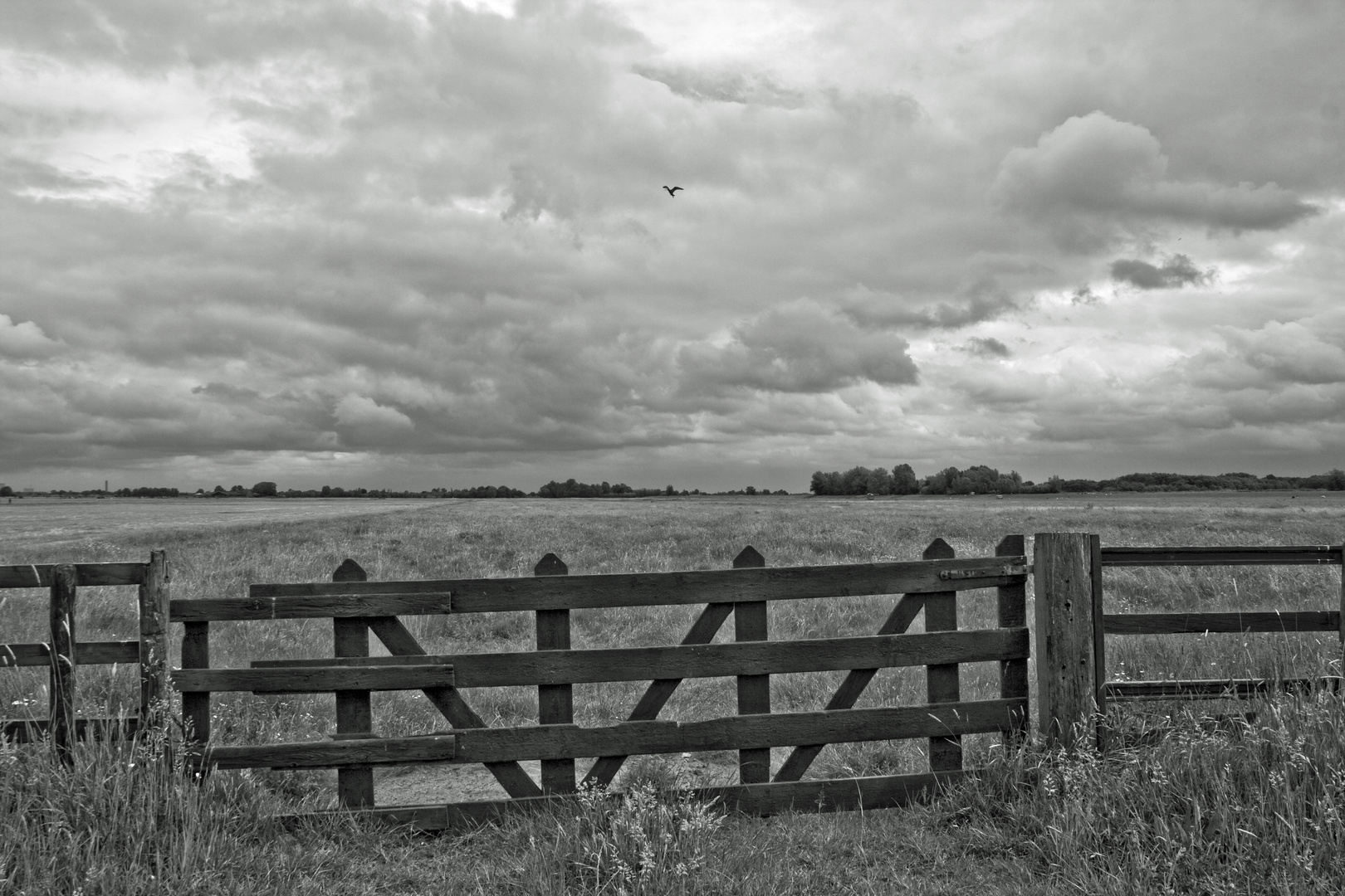 Am Zaun Foto & Bild | landschaft, Äcker, felder & wiesen, niederland