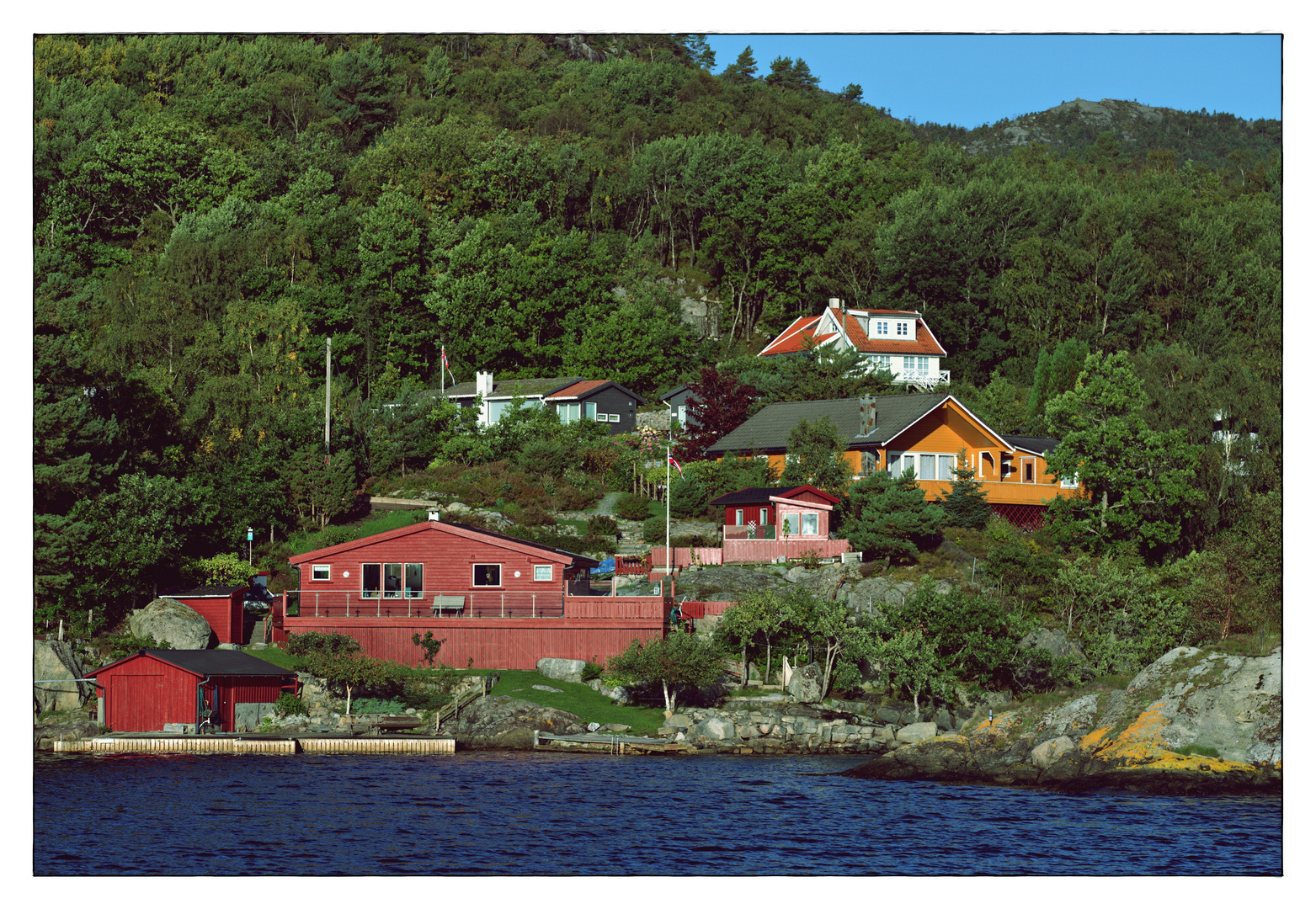 Am Zaun steht eine Sonnenblume - Im Lysefjord pt.III