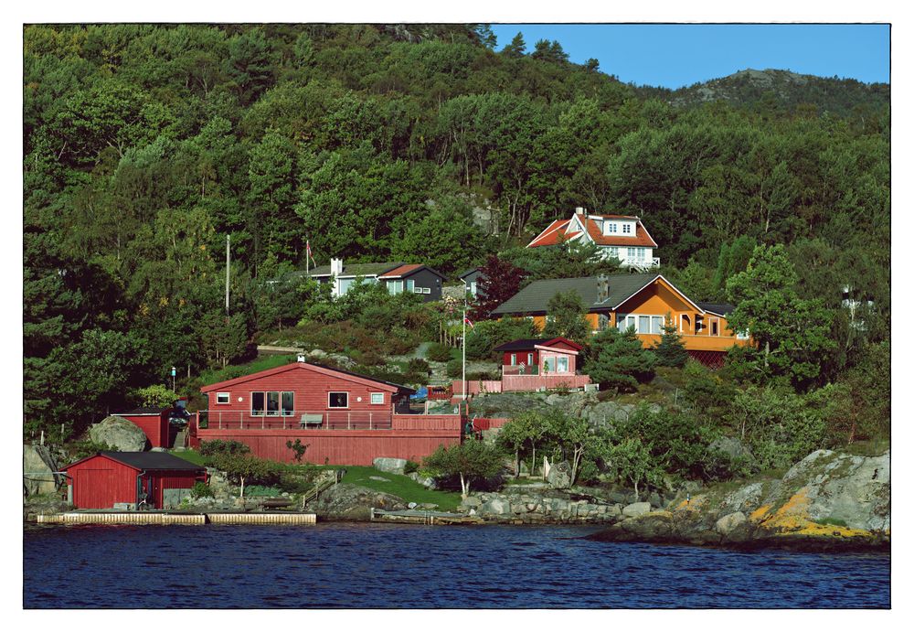 Am Zaun steht eine Sonnenblume - Im Lysefjord pt.III