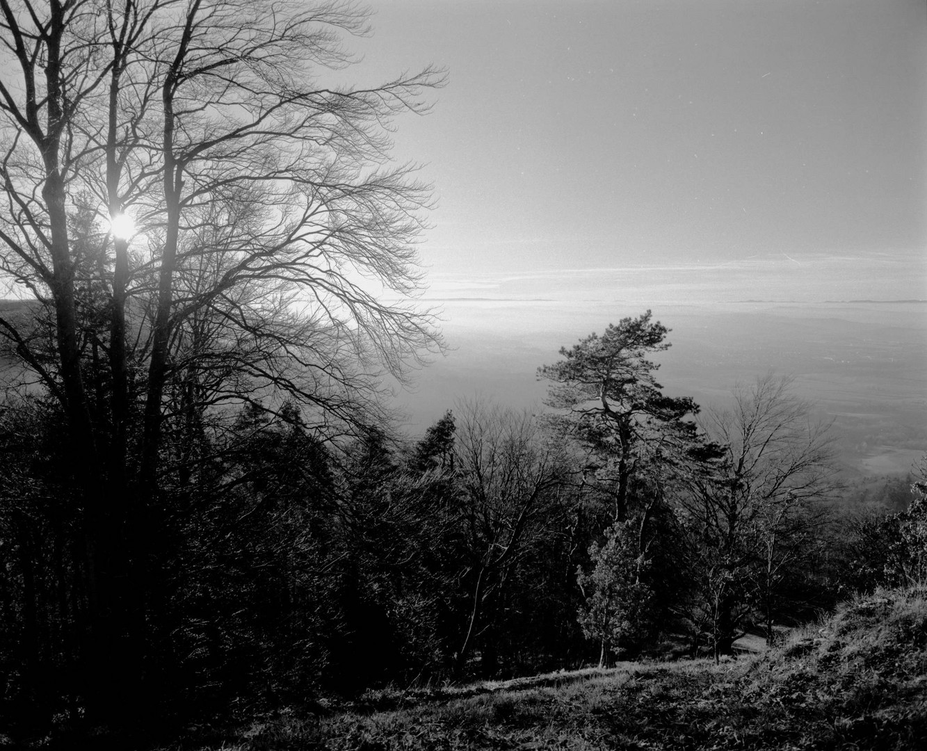 Am Zeller Horn