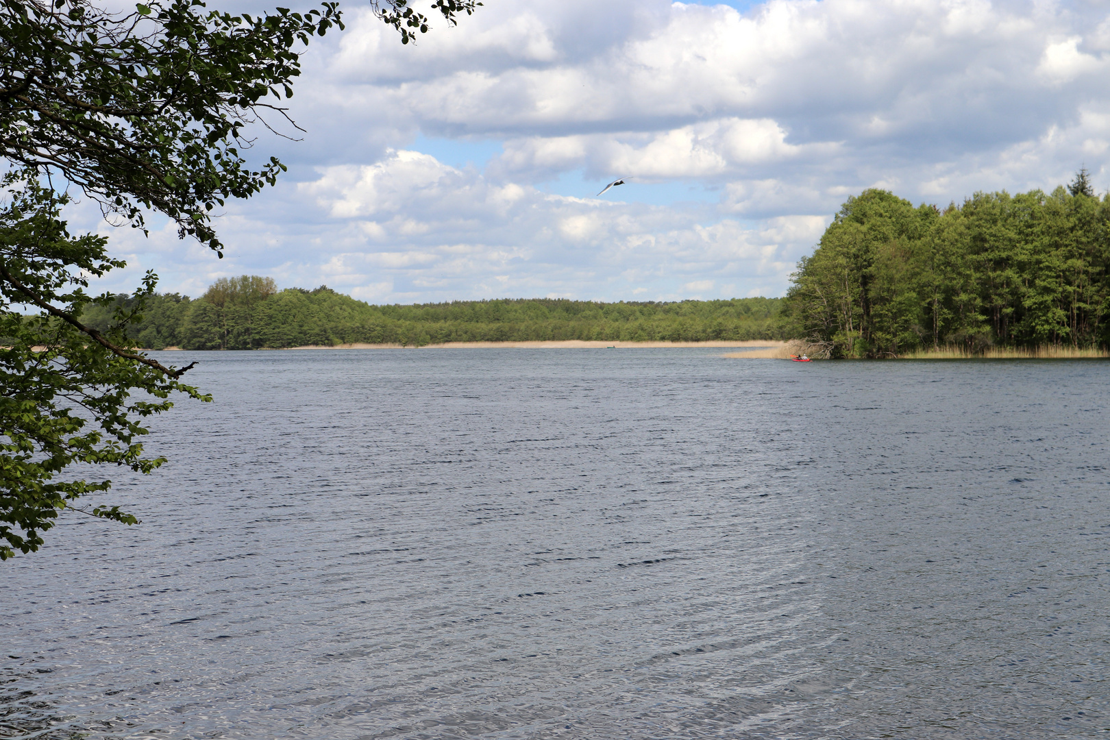 Am Zenssee, Lychen