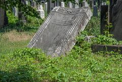 am Zentralfriedhof