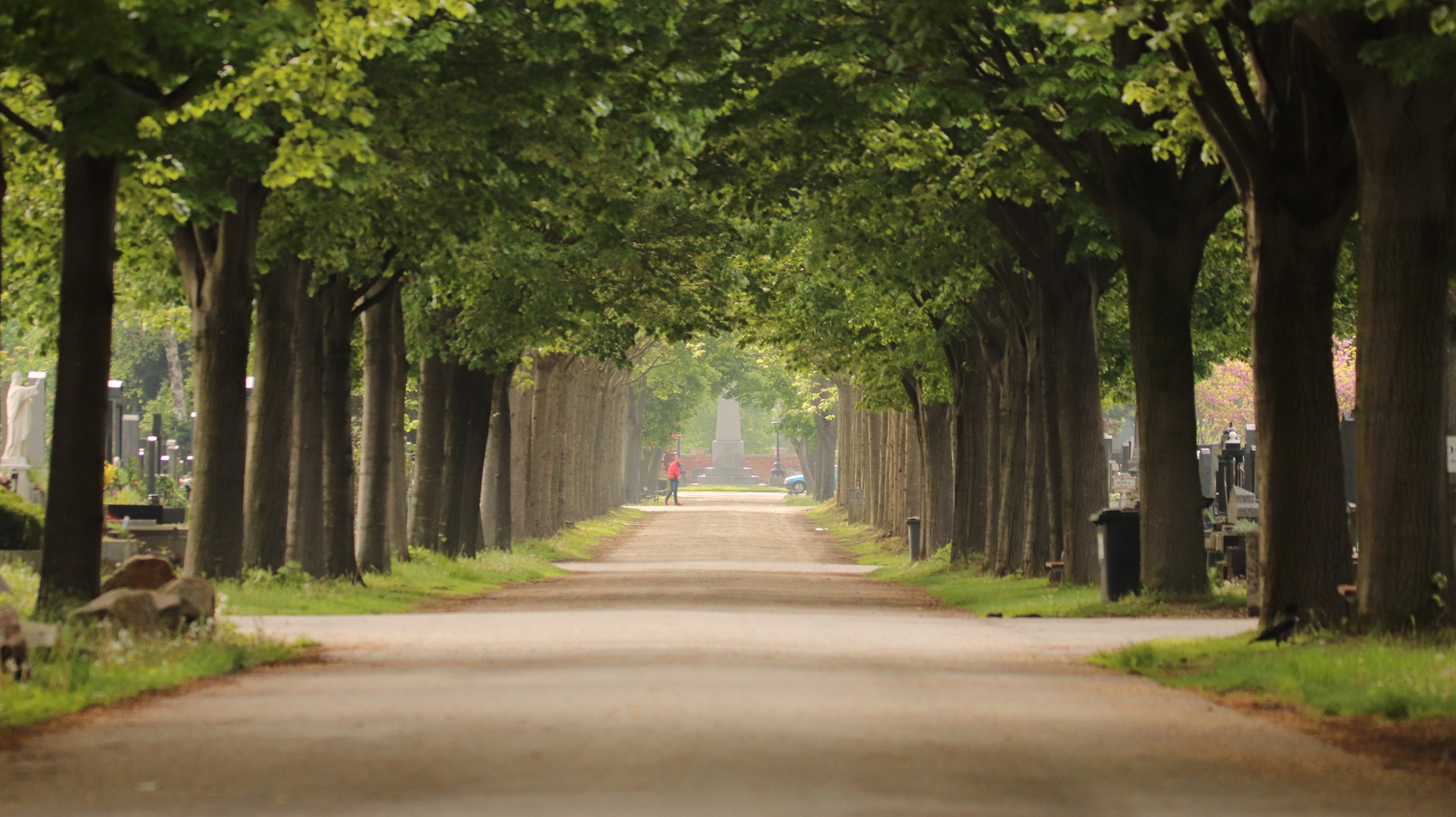 Am Zentralfriedhof