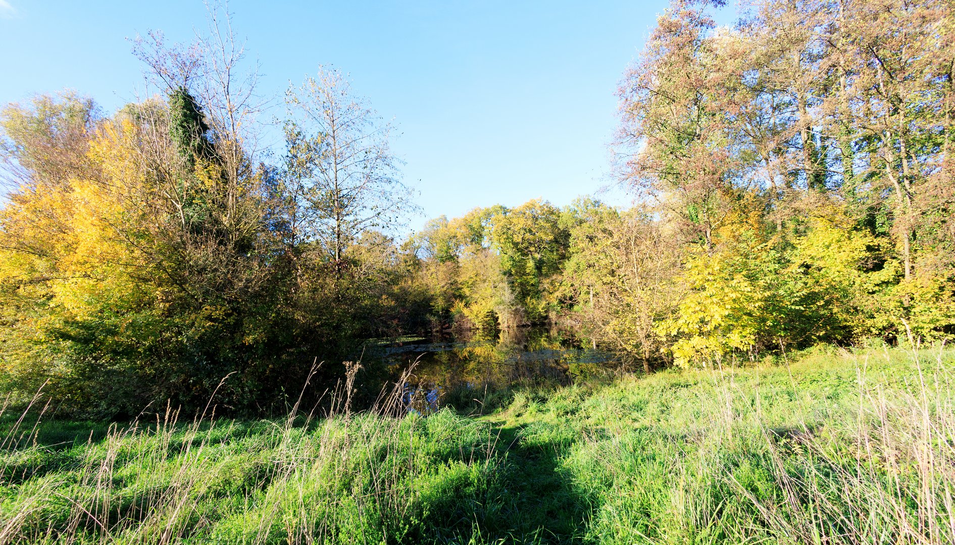 Am Zeuterner See