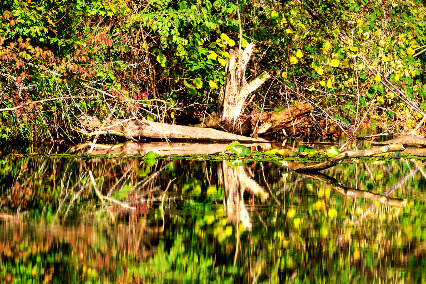 Am Zeuterner See