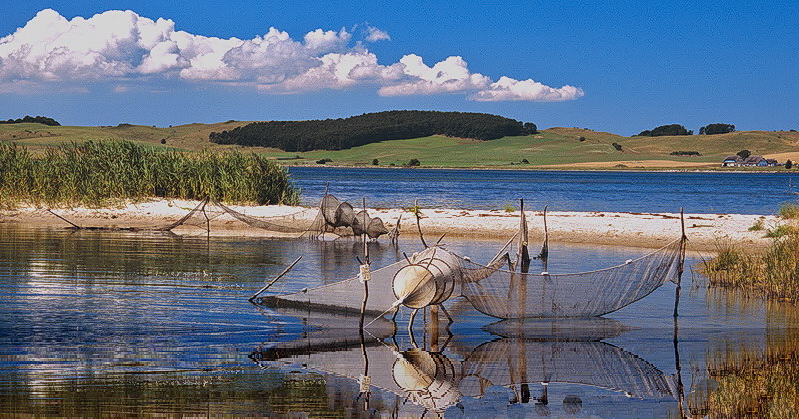 Am Zickerschen See...