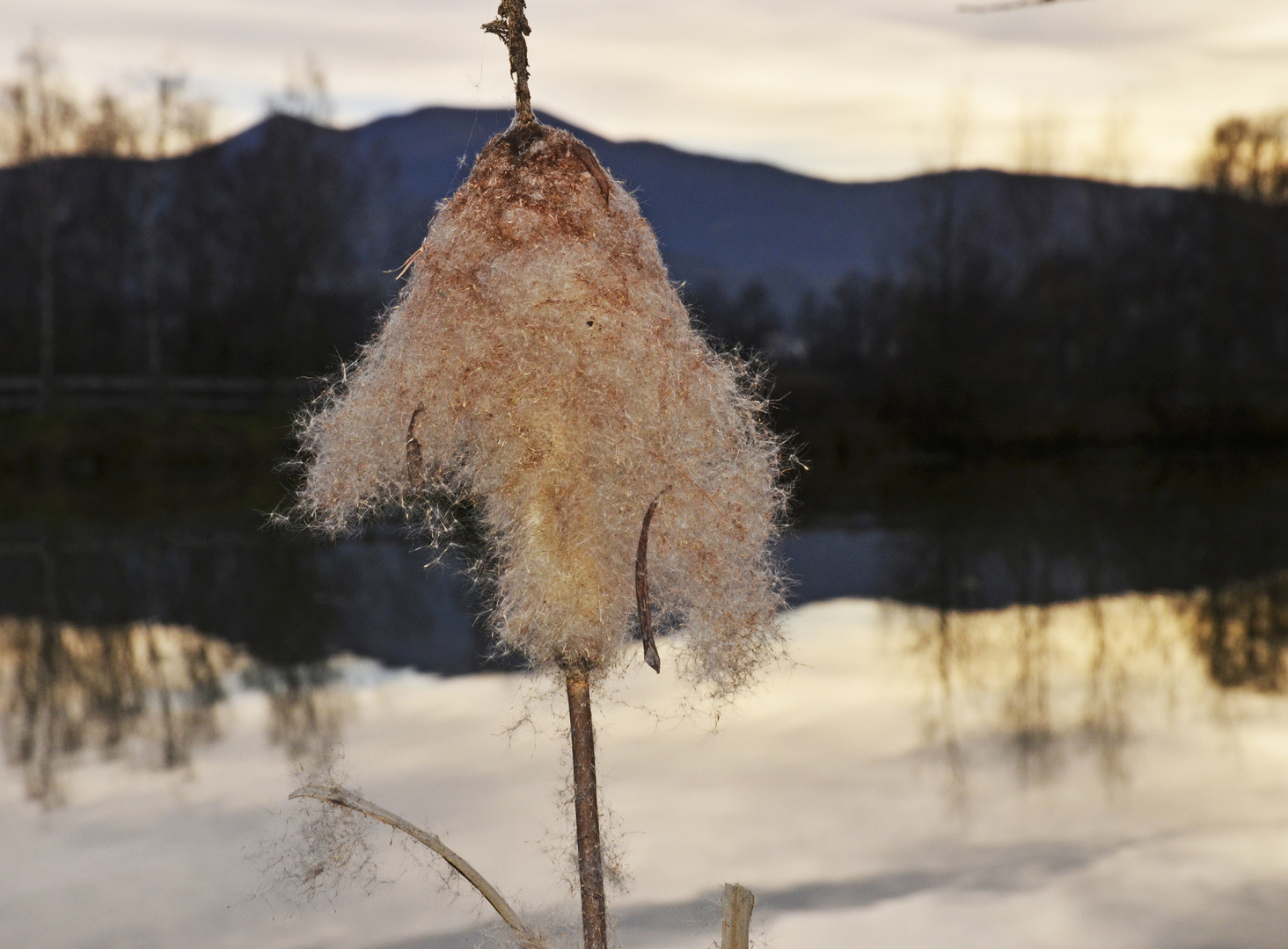 Am "Ziegelteich" bei Knittelfeld