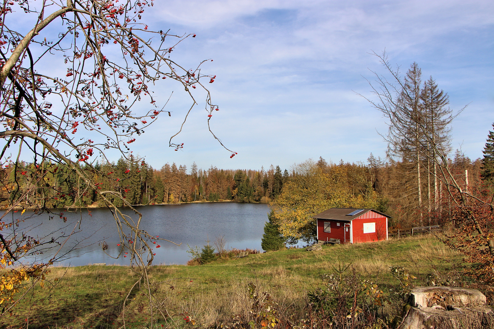 Am Ziegenberger Teich