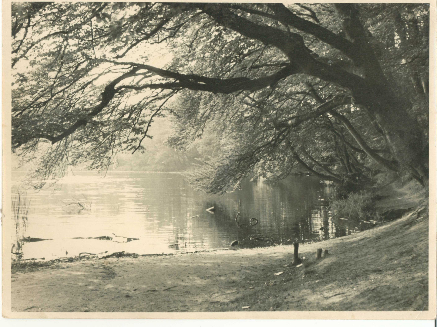 Am Zierker See in Neustrelitz (Archivaufnahme)