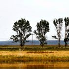 am zingster bodden