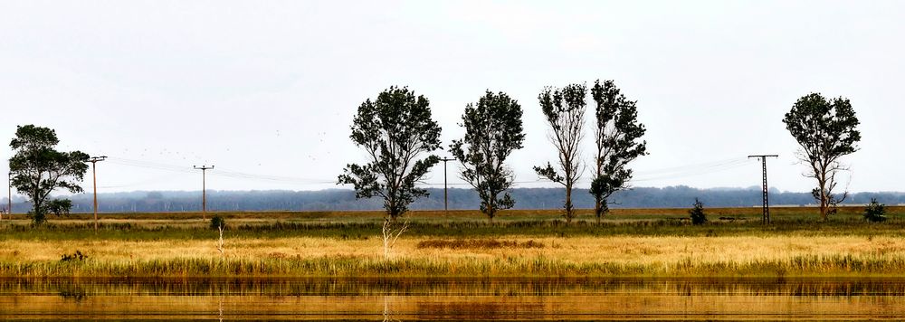 am zingster bodden