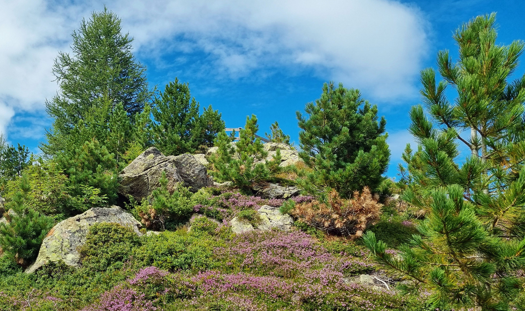 am Zirbenweg