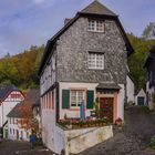 Am Zuckerberg I - Blankenheim/Eifel