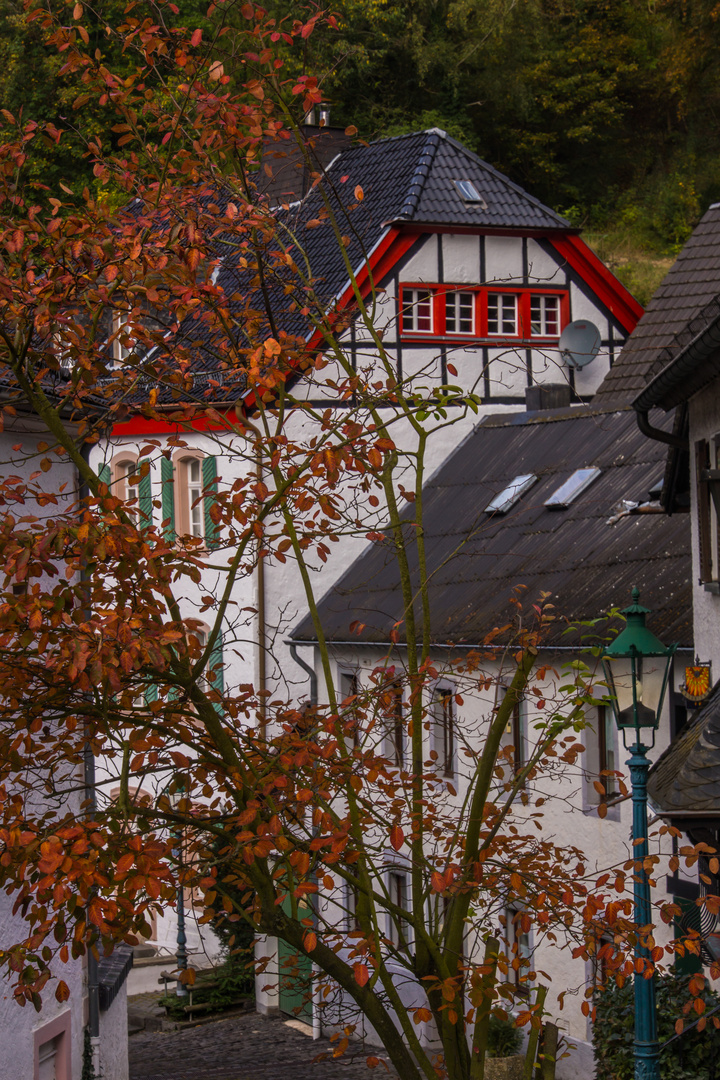 Am Zuckerberg III - Blankenheim/Eifel