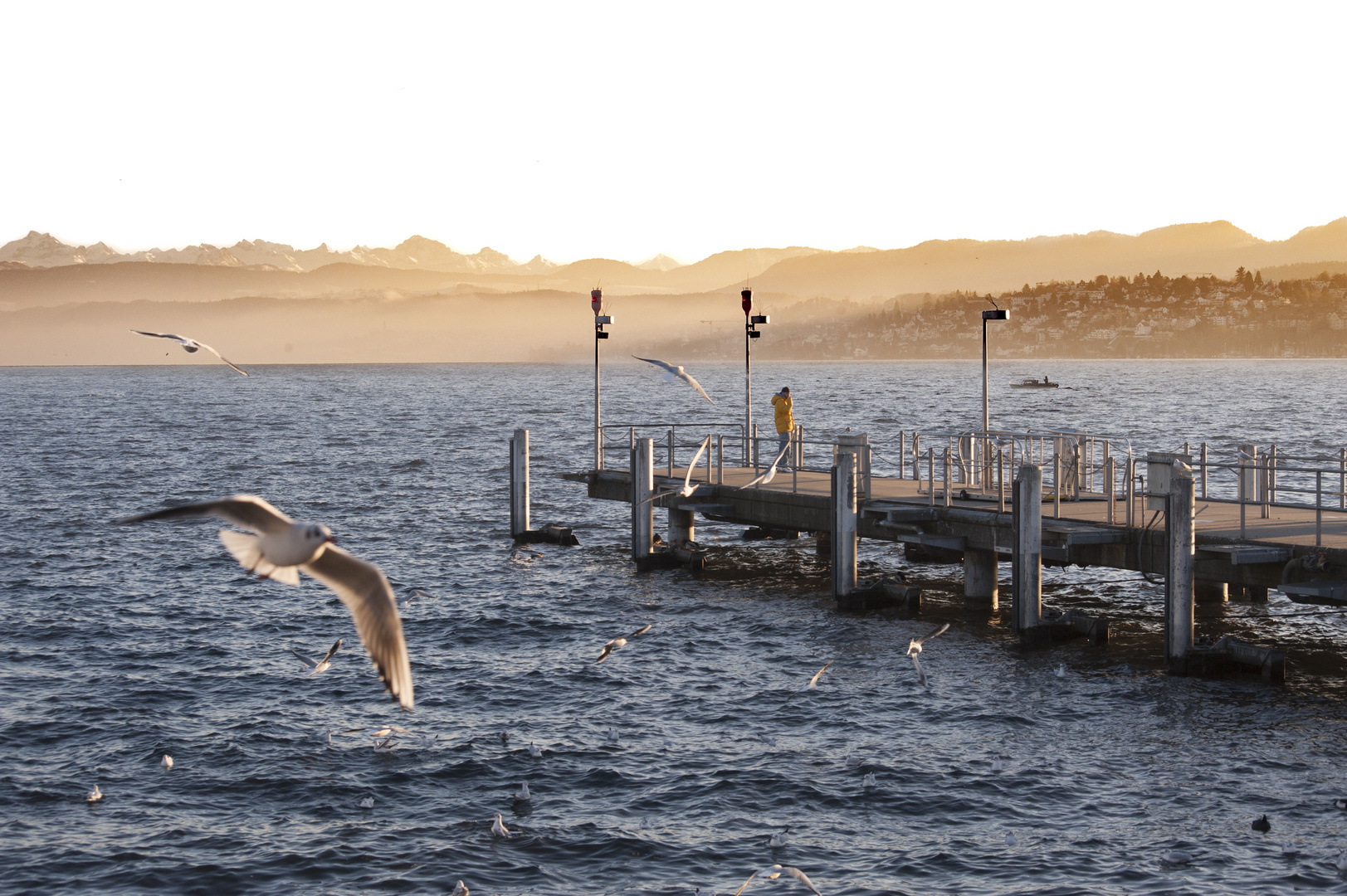 Am Zürichsee