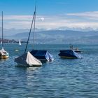 Am Zürichsee