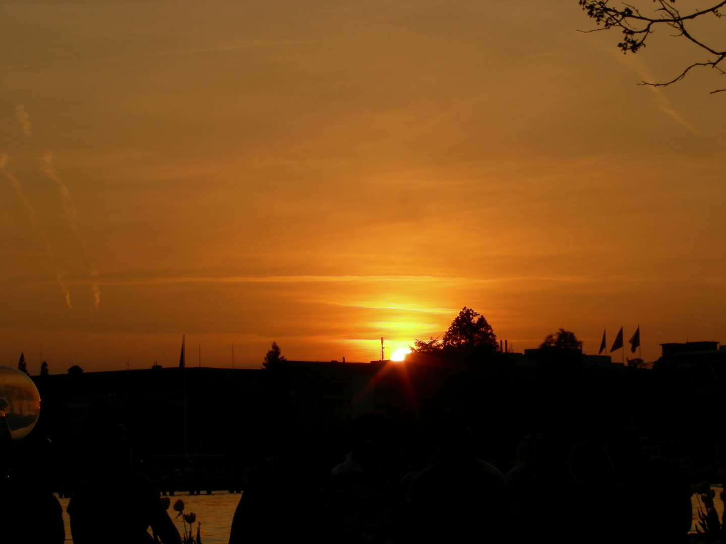 am zürichsee