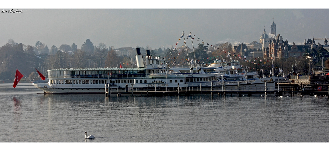 Am Zürichsee