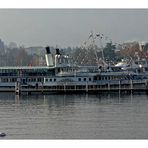Am Zürichsee