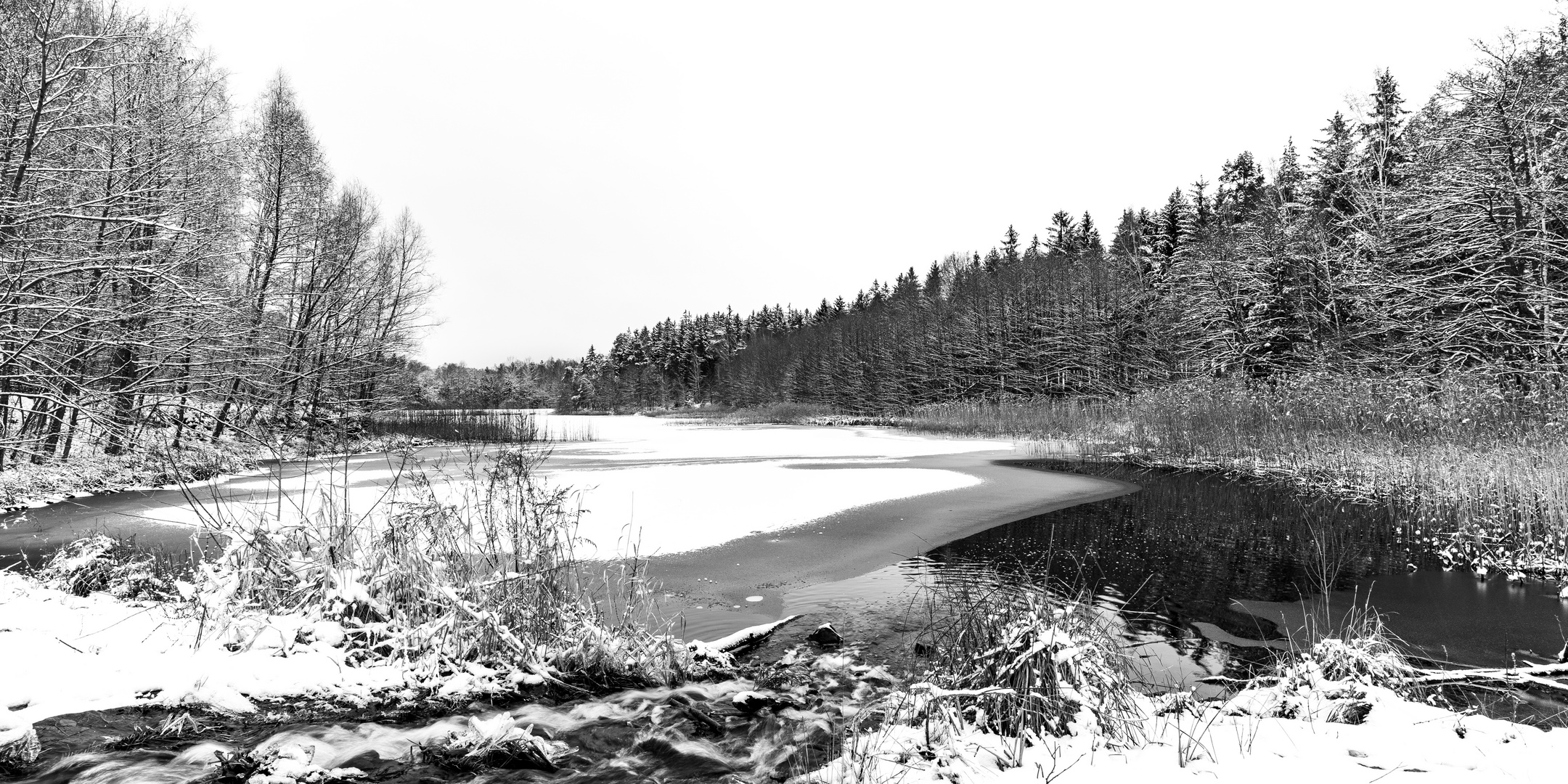 Am Zufluss ist der Heidemühlenteich noch eisfrei 1