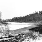 Am Zufluss ist der Heidemühlenteich noch eisfrei 1