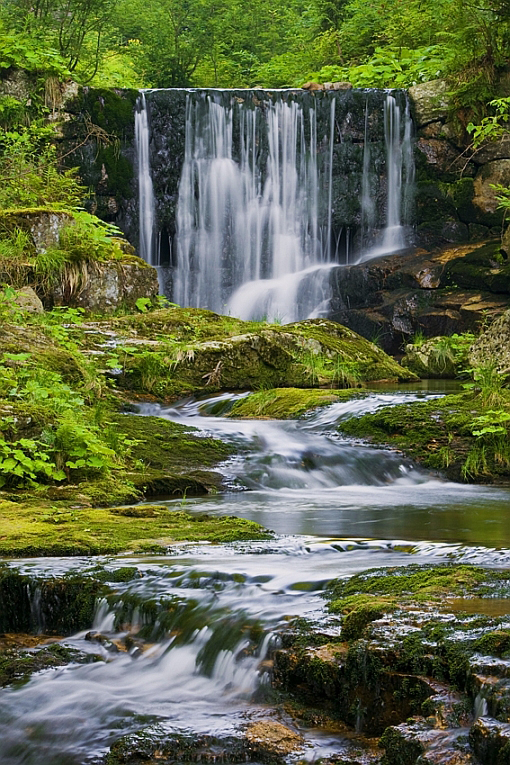 Am Zufluss von weißer Elbe