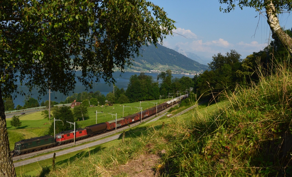 Am Zugersee