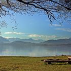 Am Zugersee