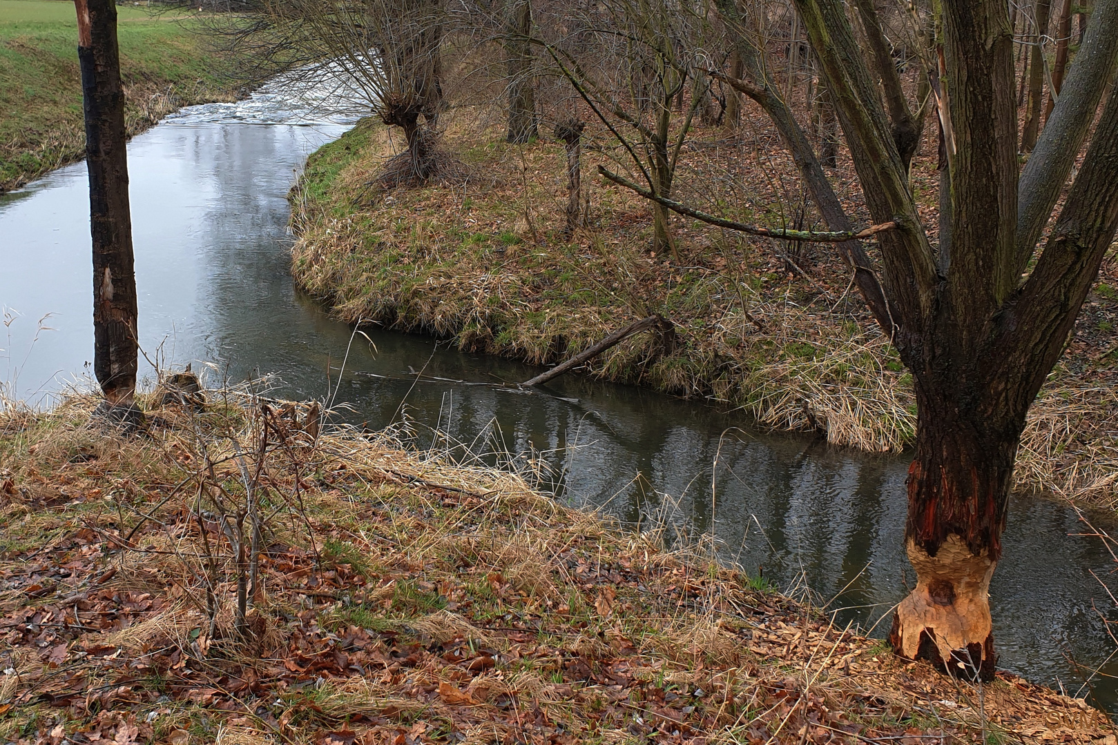 Am Zusammenfluß von Kotitzer und Löbauer Wasser