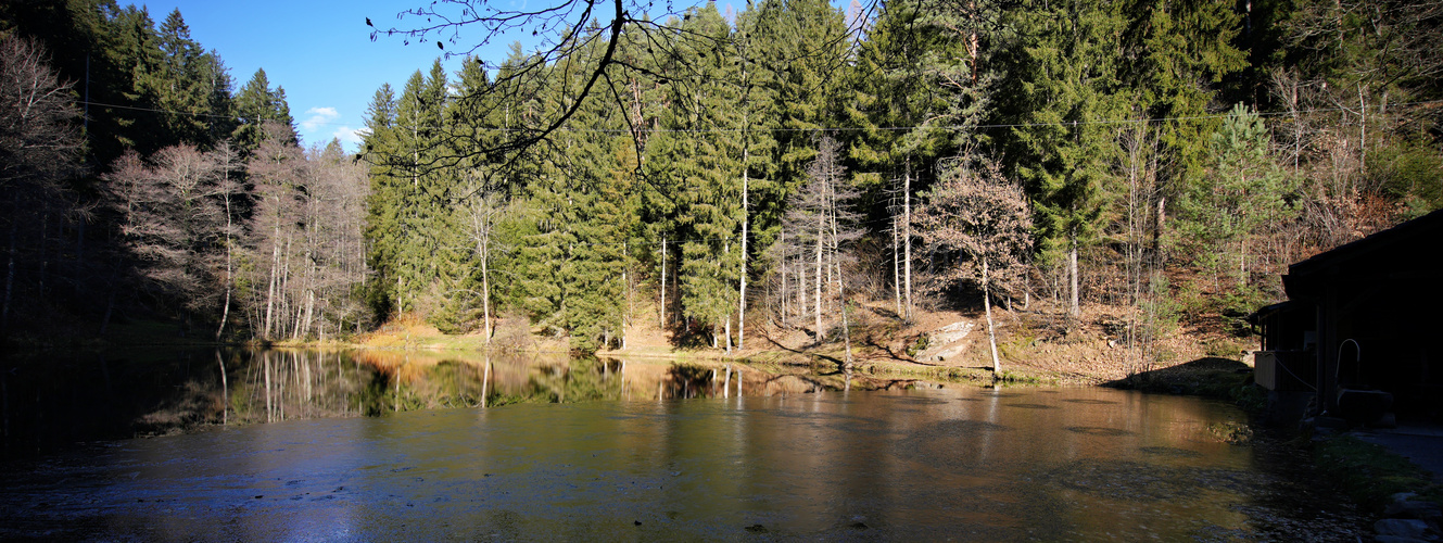 Am Zwergsee ober Millstatt-