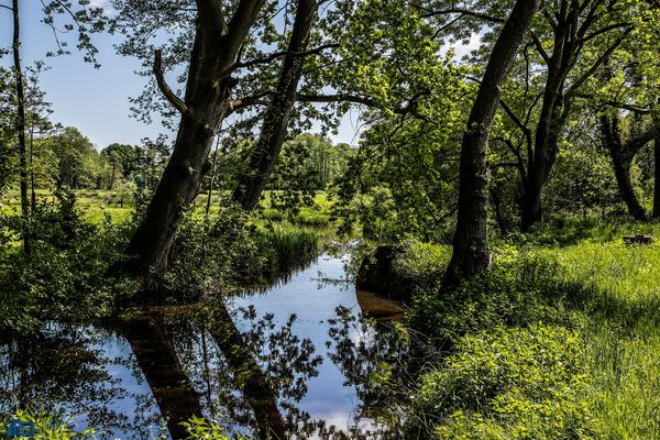 Am Zwischenahner Meer