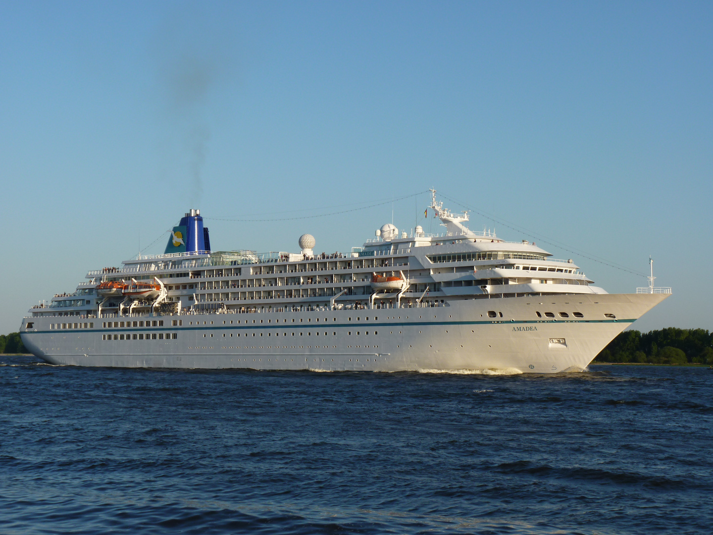 AMADEA