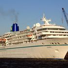 Amadea