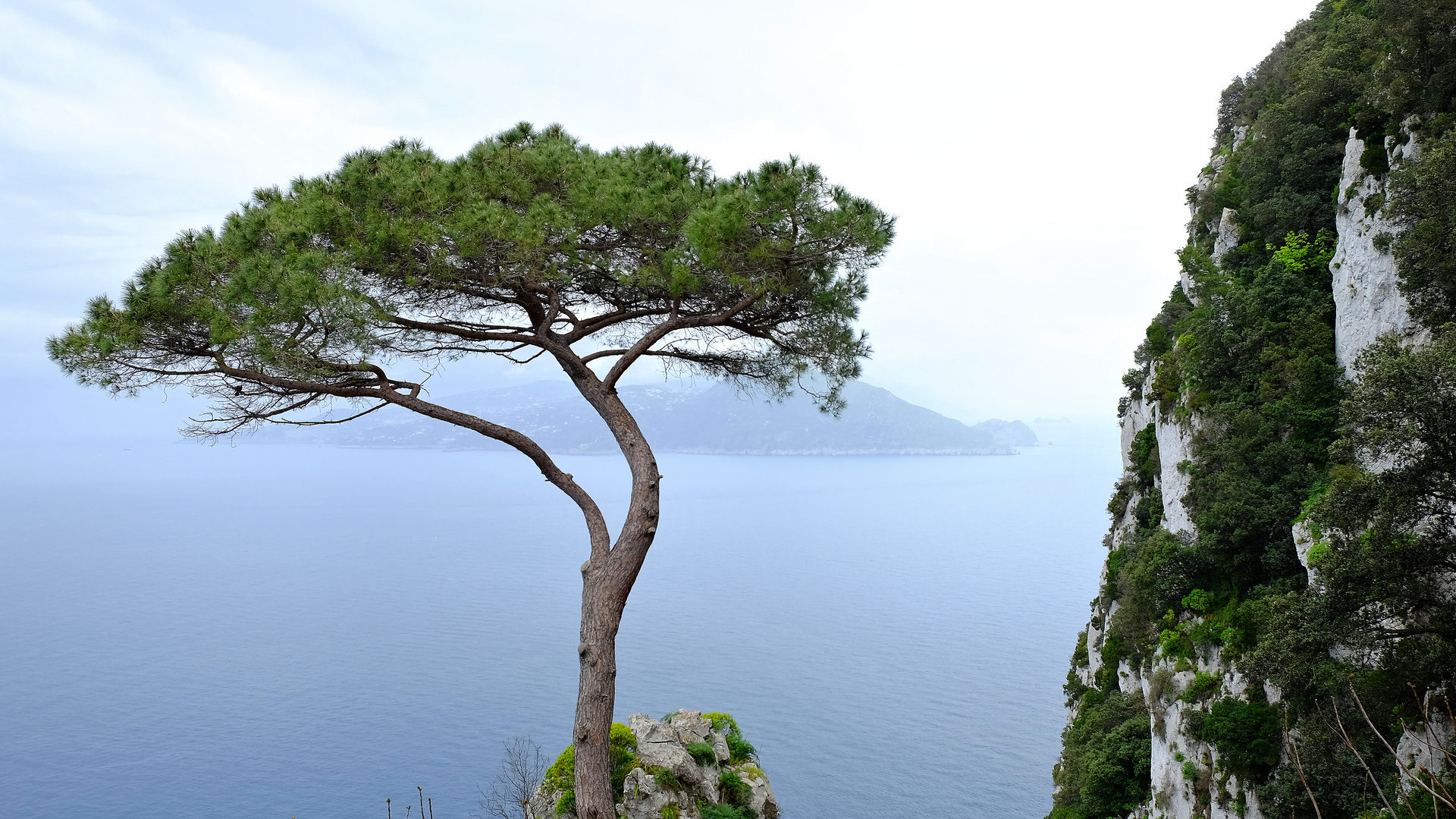 Amalfi