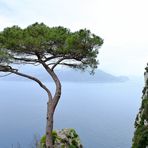 Amalfi