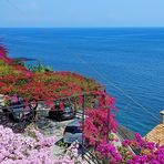 Amalfi Flower Power