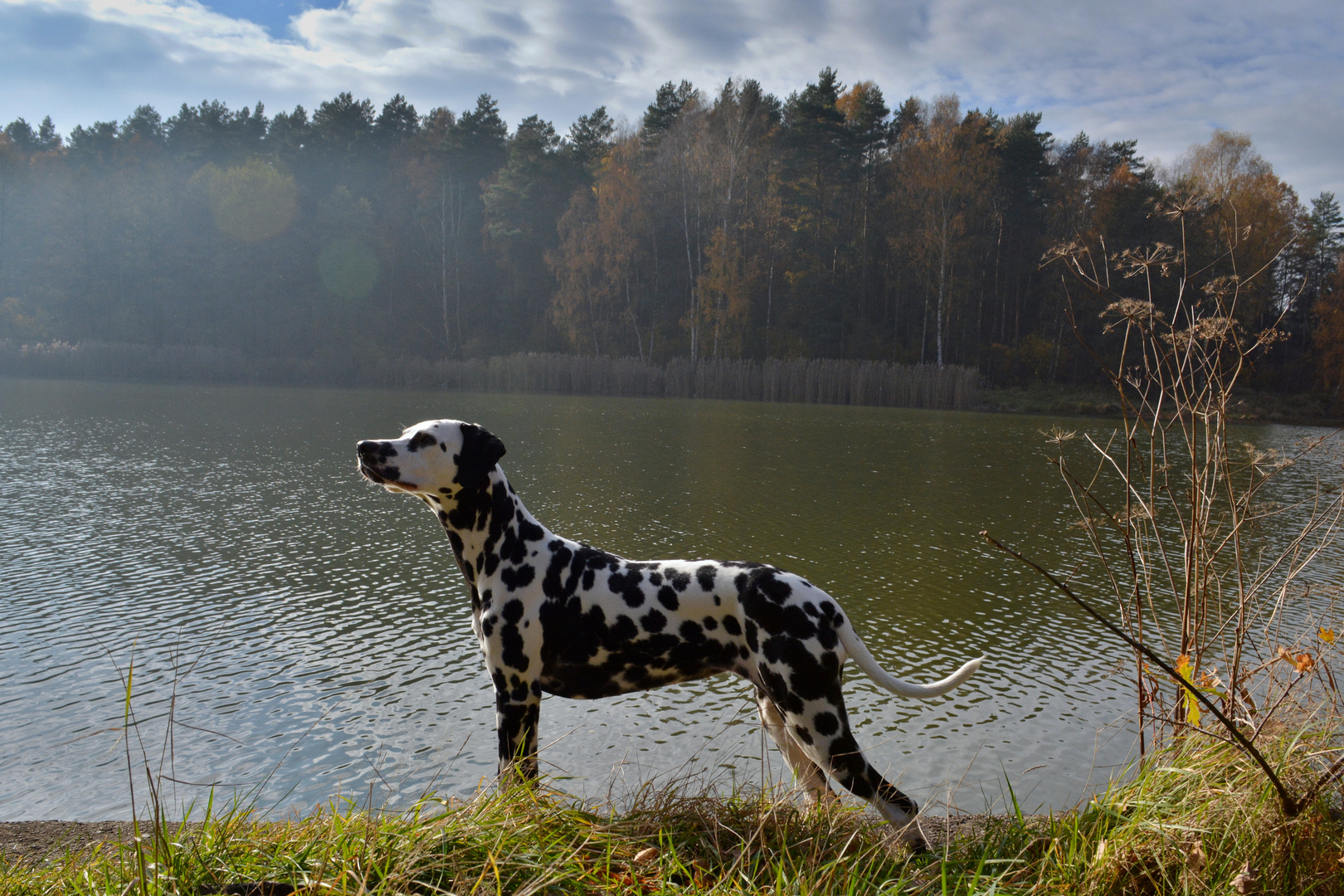 Amali am See der Freundschaft