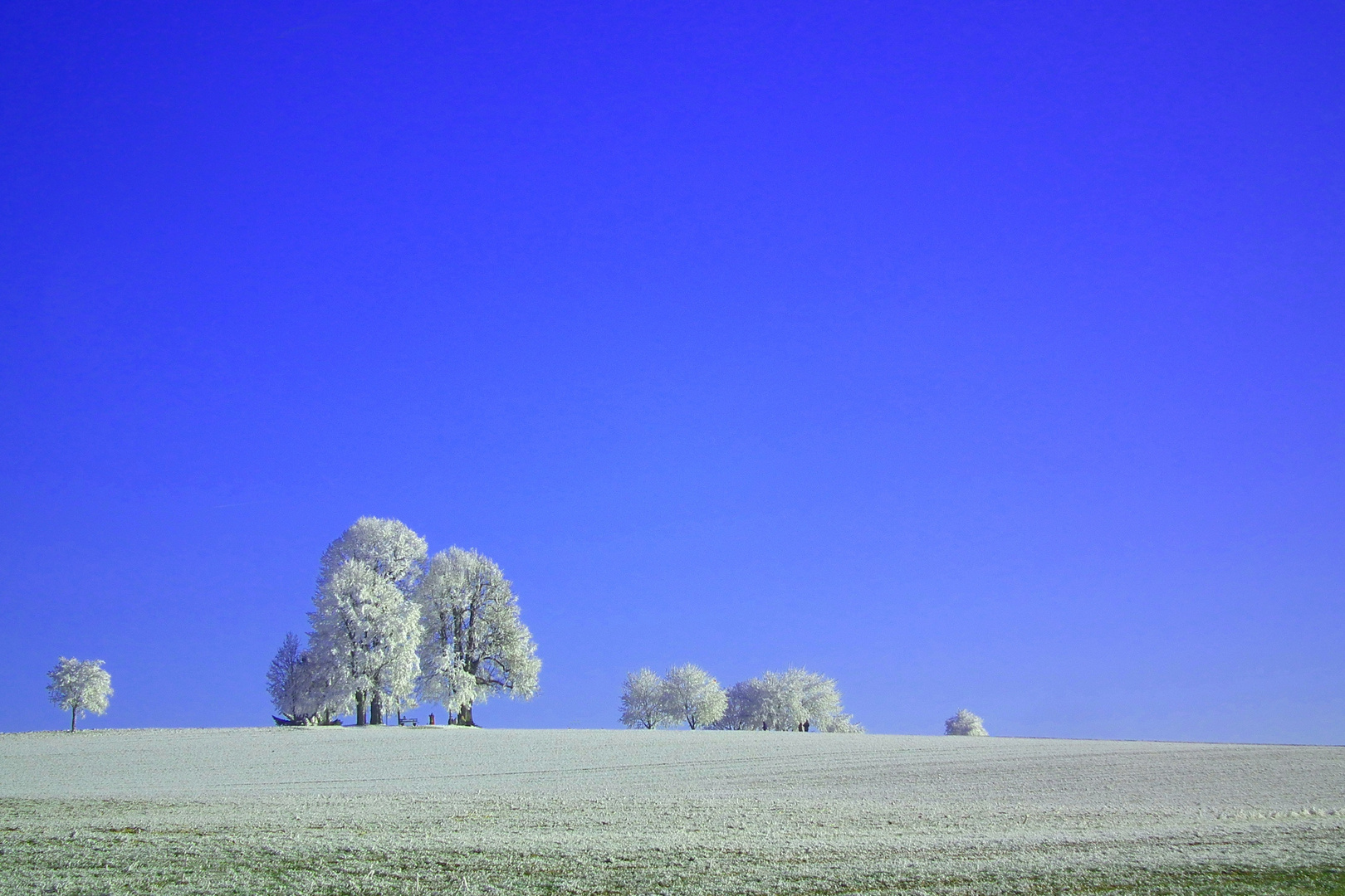 Amalienhöhe bei Heiligenberg