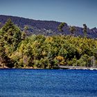 Amalienruhe am Schluchsee