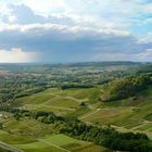 Amandine & le vignoble du Jura