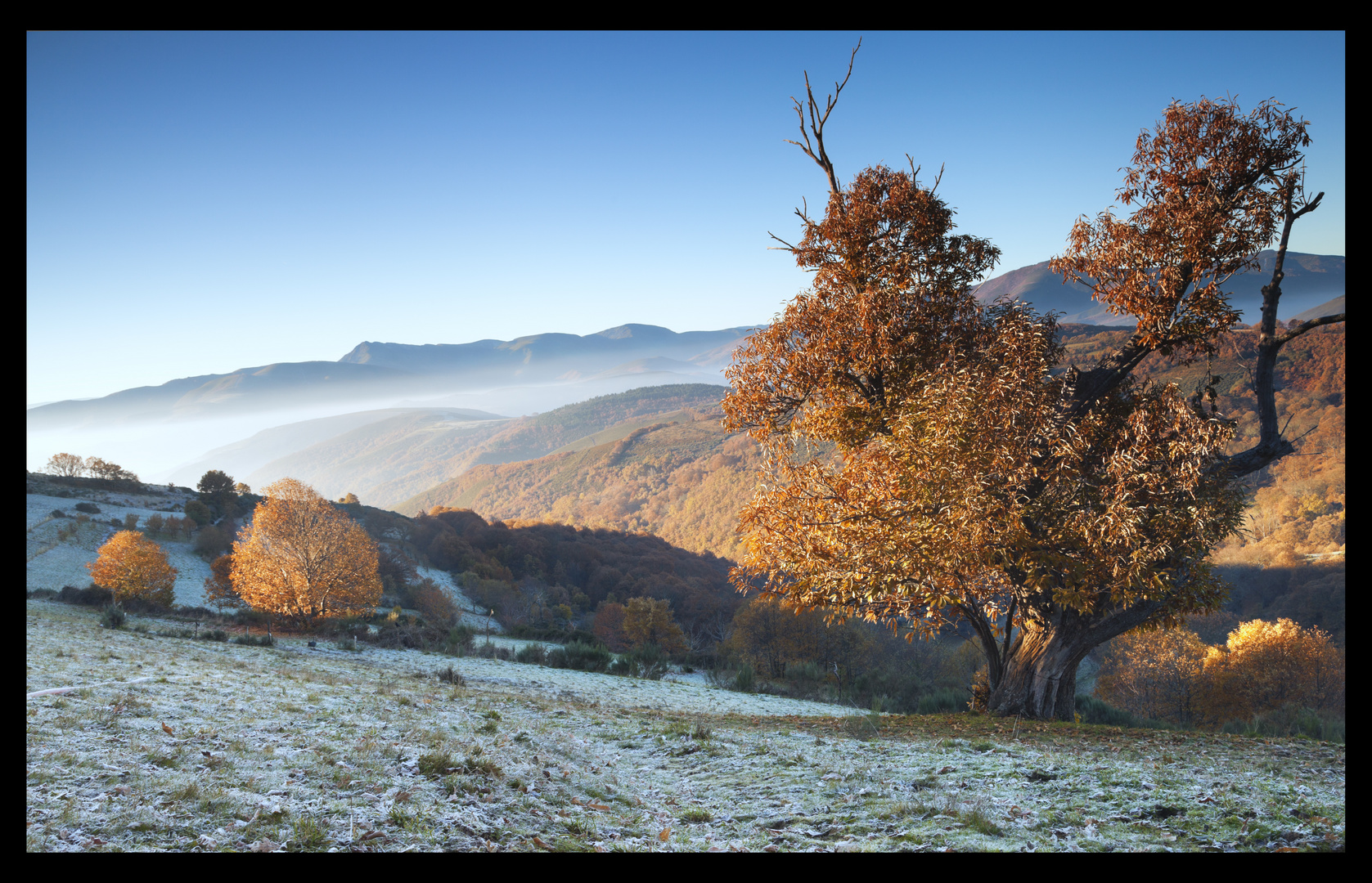 Amanece en Cantexeira