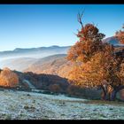 Amanece en Cantexeira